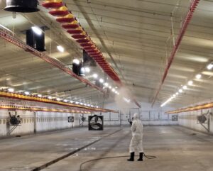 dezynfekcja w obiektach inwentarskich